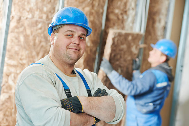 Best Insulation Installation Services in Zapata, TX